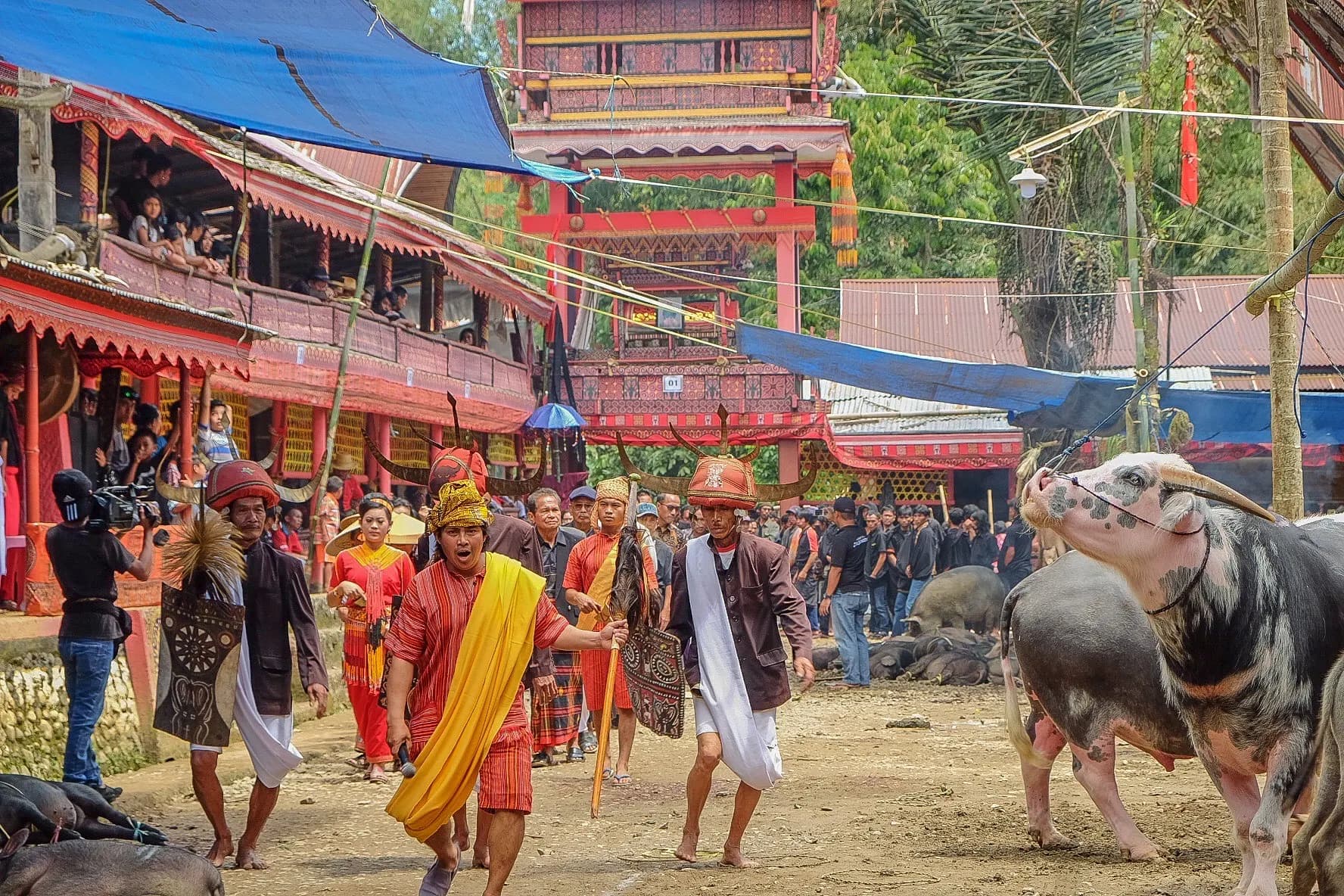 Ceremony in Tana Toraja