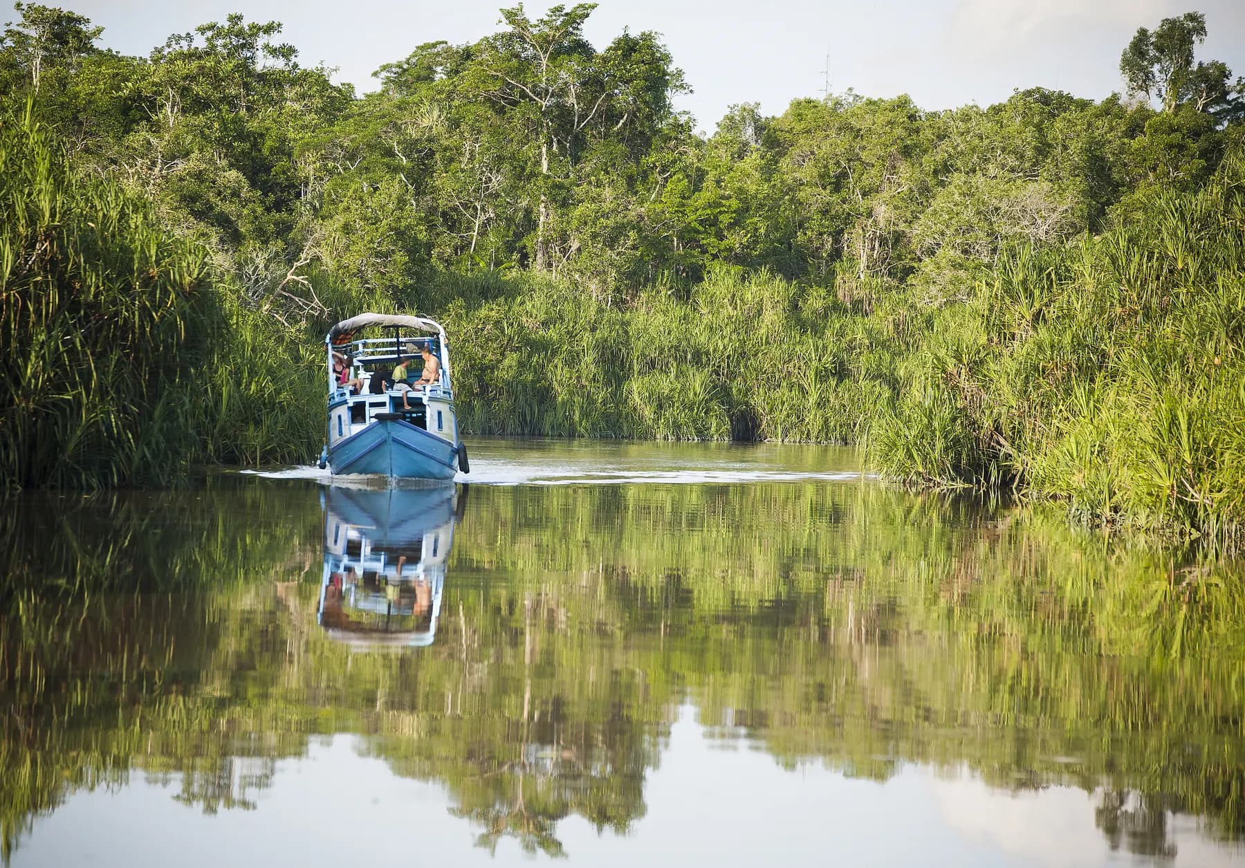 Klotok houseboat on the river