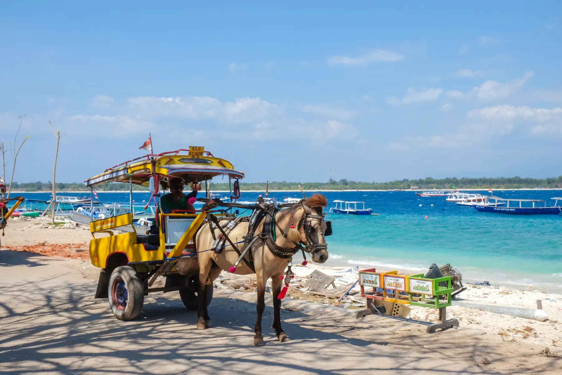 Horse cart on the Gili Islands